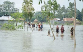 Gaibandha