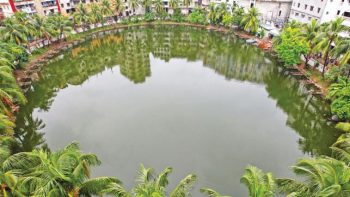 pond